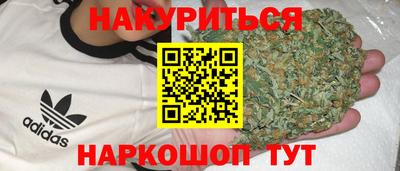 прущие грибы Нягань