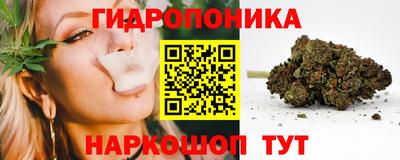 амф Обь