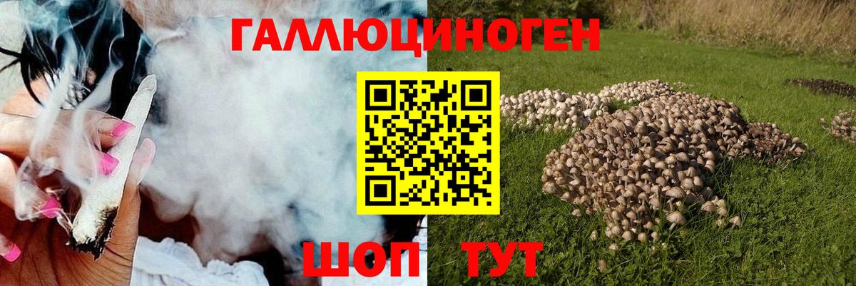 Псилоцибиновые грибы GOLDEN TEACHER  Галлюциногенные грибы Magic Shrooms  Бор  Вход с VPN 